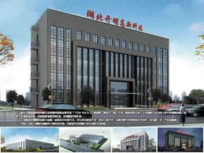 解码鄂州隐形冠军 开明科技如何以新闻服务撬动全球市场